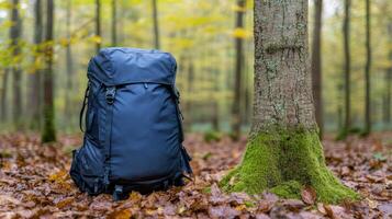 A backpack sits in the middle of a forest photo