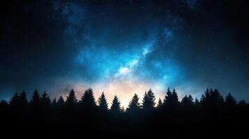 A dark night sky with trees and stars photo