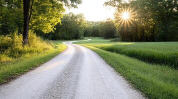 A dirt road with trees and grass on both sides photo