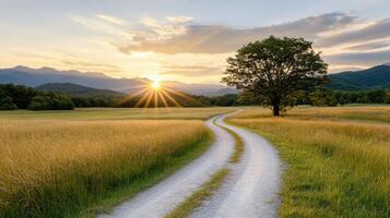 un suciedad la carretera en un campo a puesta de sol foto