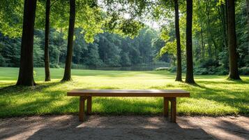 A wooden bench sitting in the middle of a grassy field photo