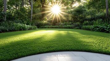 A grassy yard with a sun shining through the trees photo