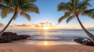 Sunset on the beach with palm trees and water photo