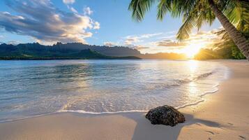 A beach with palm trees and a rock on the sand photo
