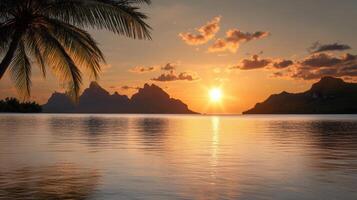 Sunset over the ocean with palm trees photo