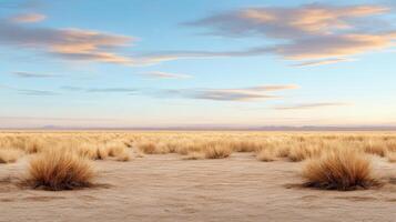 A desert with grass and sky at sunset photo