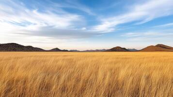 A field of dry grass with mountains in the background photo
