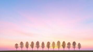 A group of trees in a field at sunset photo