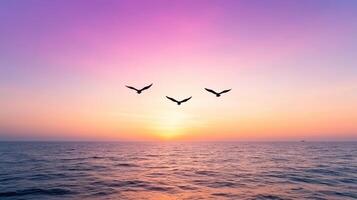 Three birds flying over the ocean at sunset photo