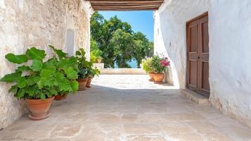 A narrow stone walkway with potted plants and a wooden door photo