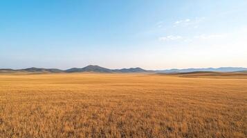 An empty field with mountains in the background photo