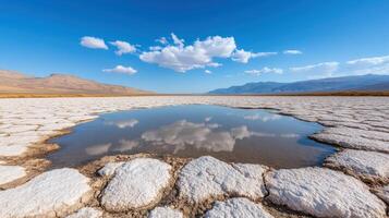A puddle of water in the middle of a salt flat photo
