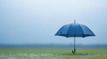 An umbrella is standing in a field photo