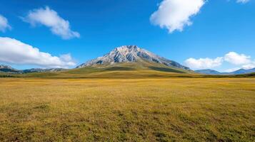A mountain range with a grassy field and a mountain in the background photo