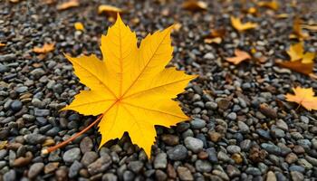 a yellow leaf laying on top of a pile of rocks photo