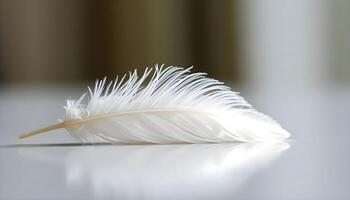 a white feather is laying on a table photo