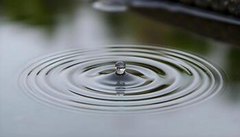 a close up of a water drop on a surface photo