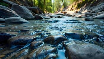 a stream running through a lush green forest photo