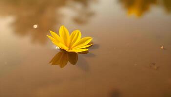 a yellow flower floating on top of a body of water photo