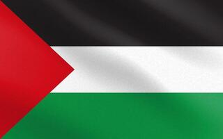 Flag of Palestine with paper texture and light vector