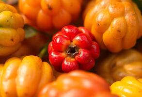 bunch of fruits and vegetables photo