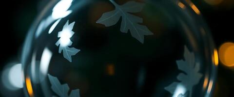 close up of a glass vase with leaves on it photo