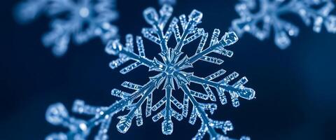 close up of a snowflake on a blue background photo