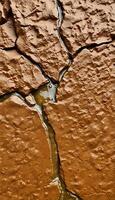 crack in a rock with water running through it photo