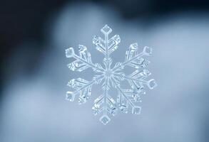 close up of a snowflake on a window photo