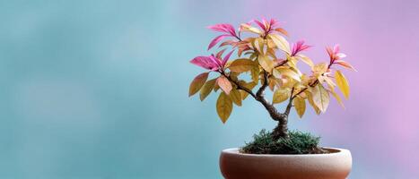 Whimsical bonsai tree with colorful leaves indoor decor plant photography artistic view creative concept photo