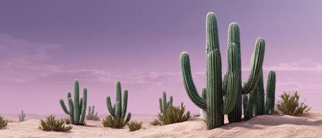 Desert landscape with cacti natural environment wide shot serene viewpoint soft light photo
