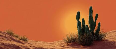 Desert oasis adventure cacti cluster at sunset arid landscape nature photography photo