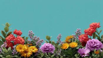 Vibrant floral burst natural setting low-resolution image colorful blooms refreshing viewpoint photo