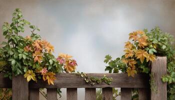 Charming rural fence with climbing vines serene garden setting nature photography tranquil atmosphere photo
