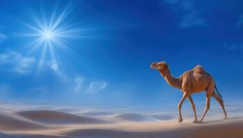 Camel walking gracefully on desert path nature scene serene environment low resolution photo