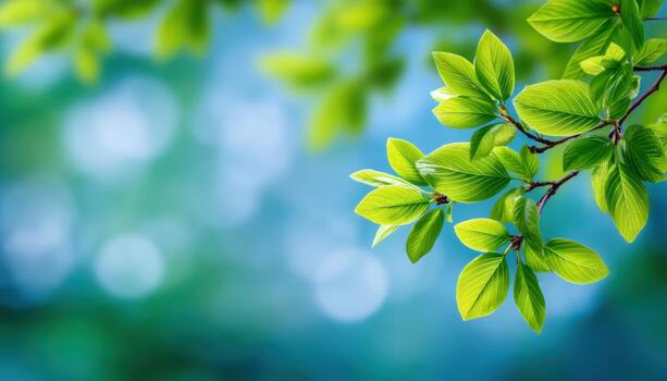 Fresh green leaves unfurling on a tree branch in nature close-up perspective of vibrant growth photo
