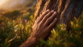Fingers tracing grooves of weathered tree bark nature scene close-up photograph serene environment photo