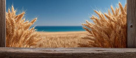 Golden grains dancing in a sunlit wheat field by the sea scenic landscape photography photo