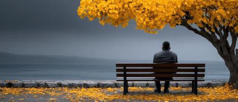 Solitary reflection on a park bench under a yellow tree nature scene calm atmosphere emotional perspective photo
