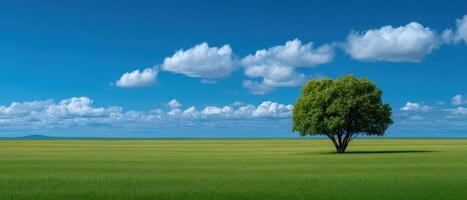 Tranquil meadow serenity open landscape nature photography lush green environment wide-angle perspective photo