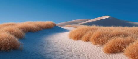 Serene hiking trail through golden grasses in vast desert landscape tranquil environment scenic viewpoint photo