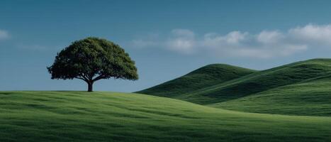 Majestic tree on lush green hills nature landscape minimalist composition calm environment wide angle photo