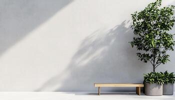Minimal loft-style white stone garden with concrete wall urban space tranquil environment photo