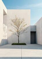 Minimalist concrete courtyard design modern architecture urban environment serene viewpoint style photo