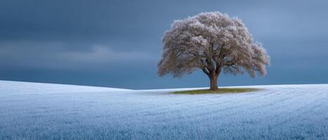Solitary tree in a snowy field nature scene winter landscape isolated tranquil ambiance photo
