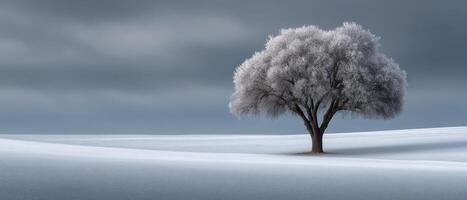 Winter landscape with a single frosted tree in a monochromatic setting nature photography tranquil scene photo