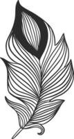Elegant black and white drawing of a feather, featuring intricate parallel lines that form a stunning design, perfect for fashion accents or decorative elements in any space vector