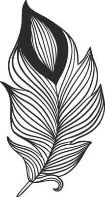 Elegant black and white drawing of a feather, featuring intricate parallel lines that form a stunning design, perfect for fashion accents or decorative elements in any space