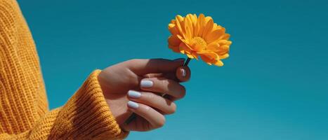 Charming woman holding flower under clear sky outdoor portrait vibrant colors nature vibes photo