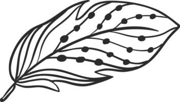 Hand drawn feather featuring intricate black lines and decorative dots, creating an elegant pattern perfect for enhancing various design projects and artistic endeavors vector